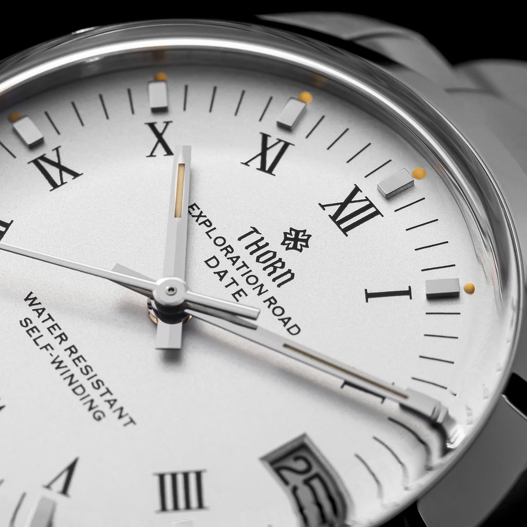 Thorn 34mm PT5000 Retro Mechanical Watch T004