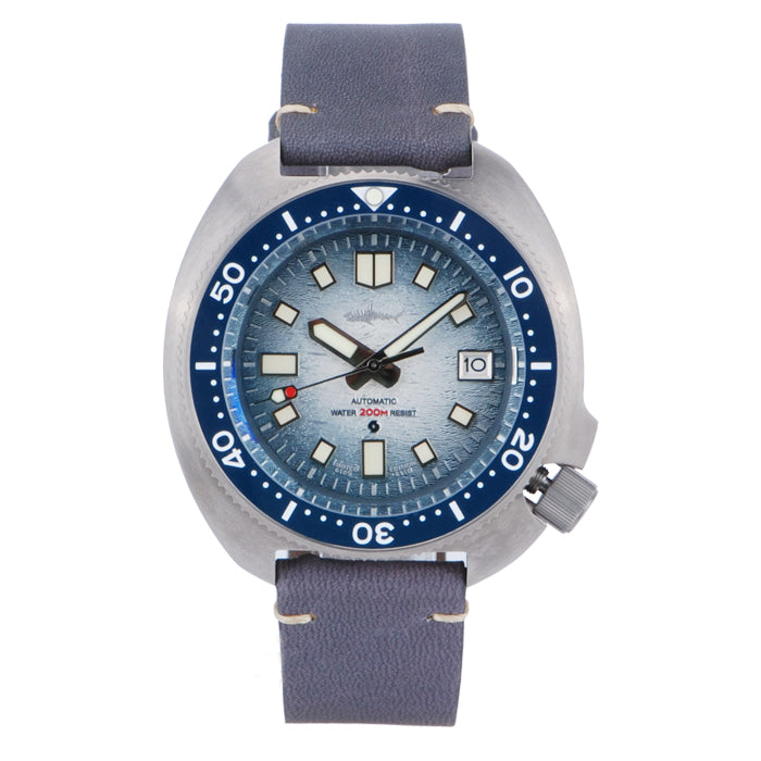 Titanium Turtle 6105 Diver watch